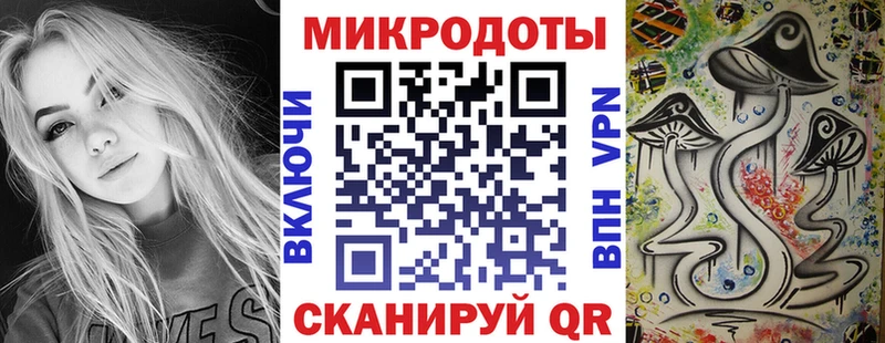 Галлюциногенные грибы Psilocybe  купить   Чекалин 